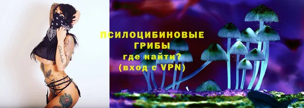 ECSTASY Армянск