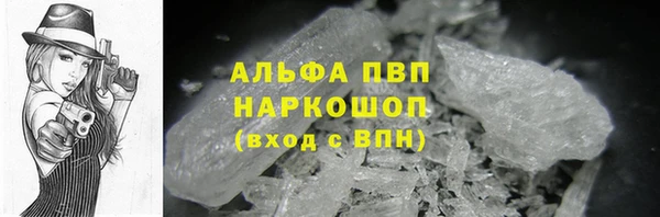 СК Арсеньев