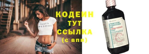 шишки Баксан