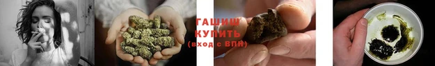 шишки Баксан