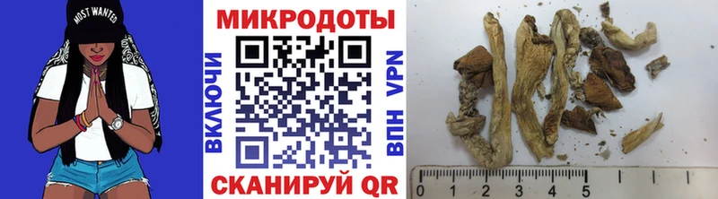 Псилоцибиновые грибы MAGIC MUSHROOMS  где можно купить наркотик  Осташков 